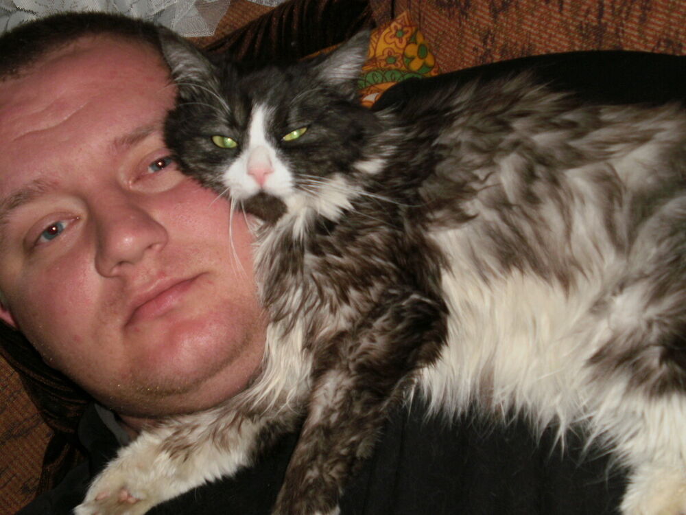 ���� 22411725 ������� ����, 43 ����, ���� ���������� � ������