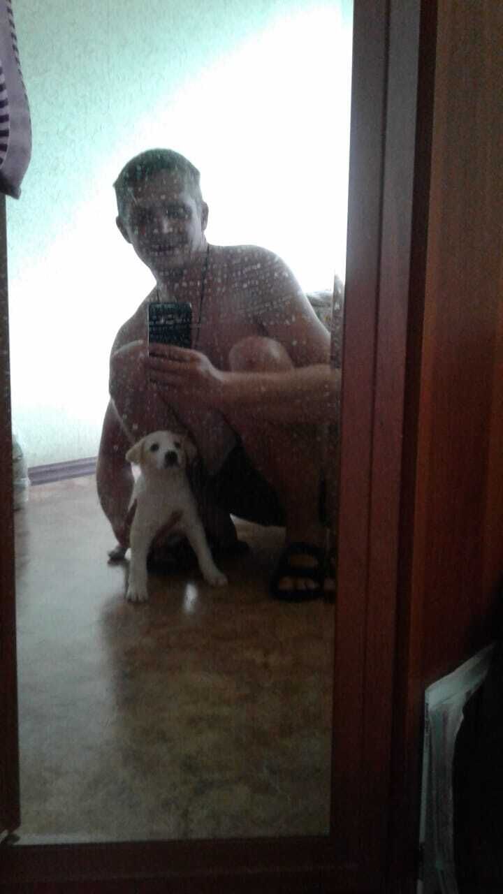 ���������� ������, ���� ������� ������, 38 ���, ������������ ��� ������, ����� � ���������, c�������� ���������, ���������