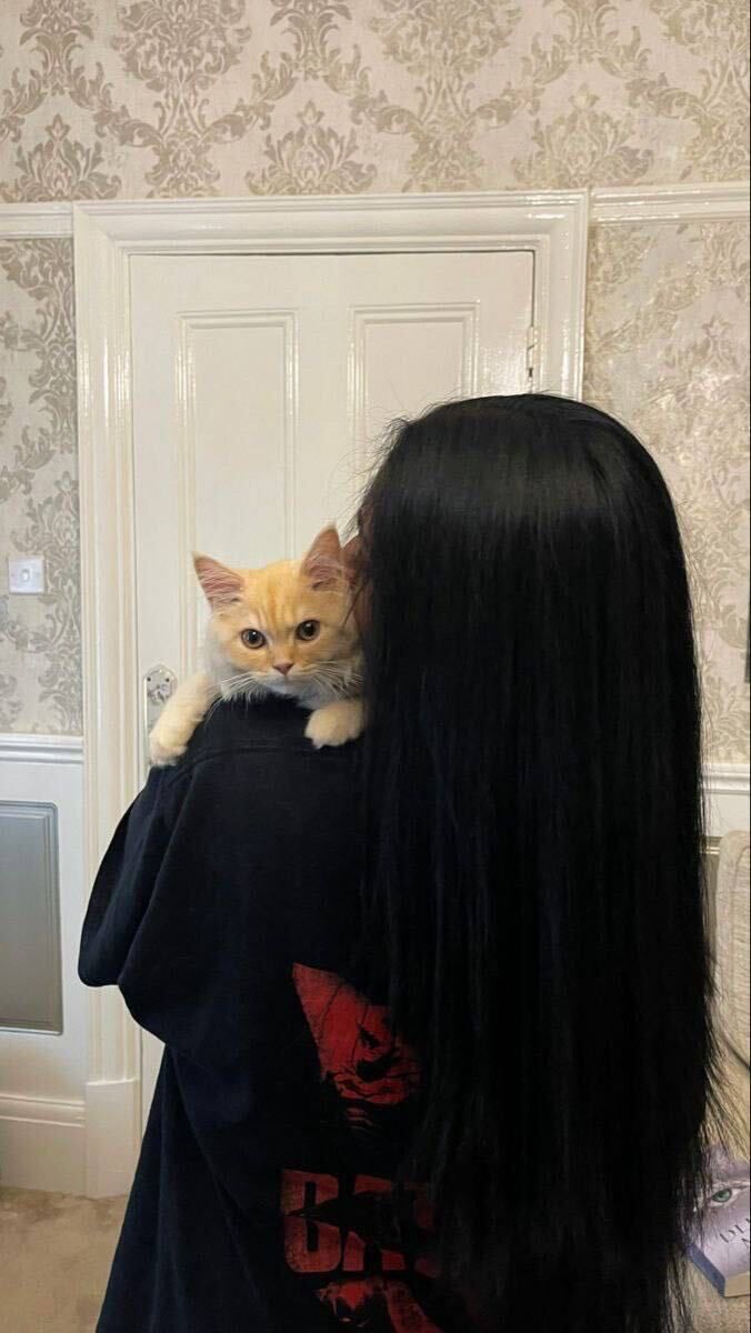 ���������� ������, ���� ������� �����, 25 ���, ������������ ��� ������, ����� � ���������