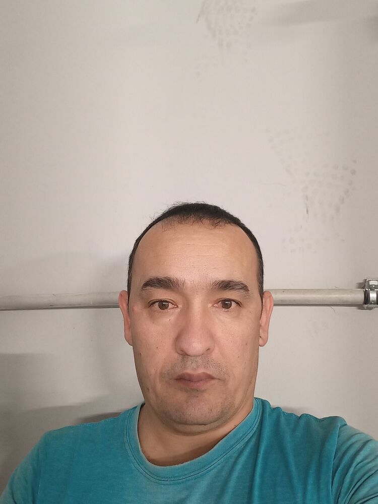  51076285  , 43 ,    -