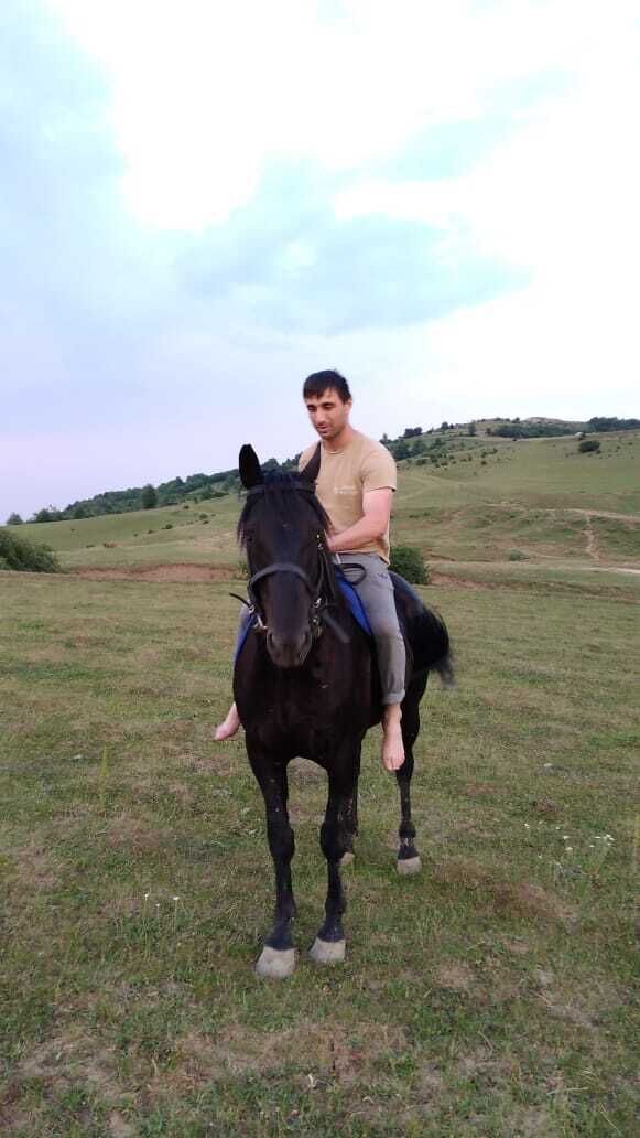 ���� 36821815 ������� ������, 33 ����, ���� ���������� � ���������