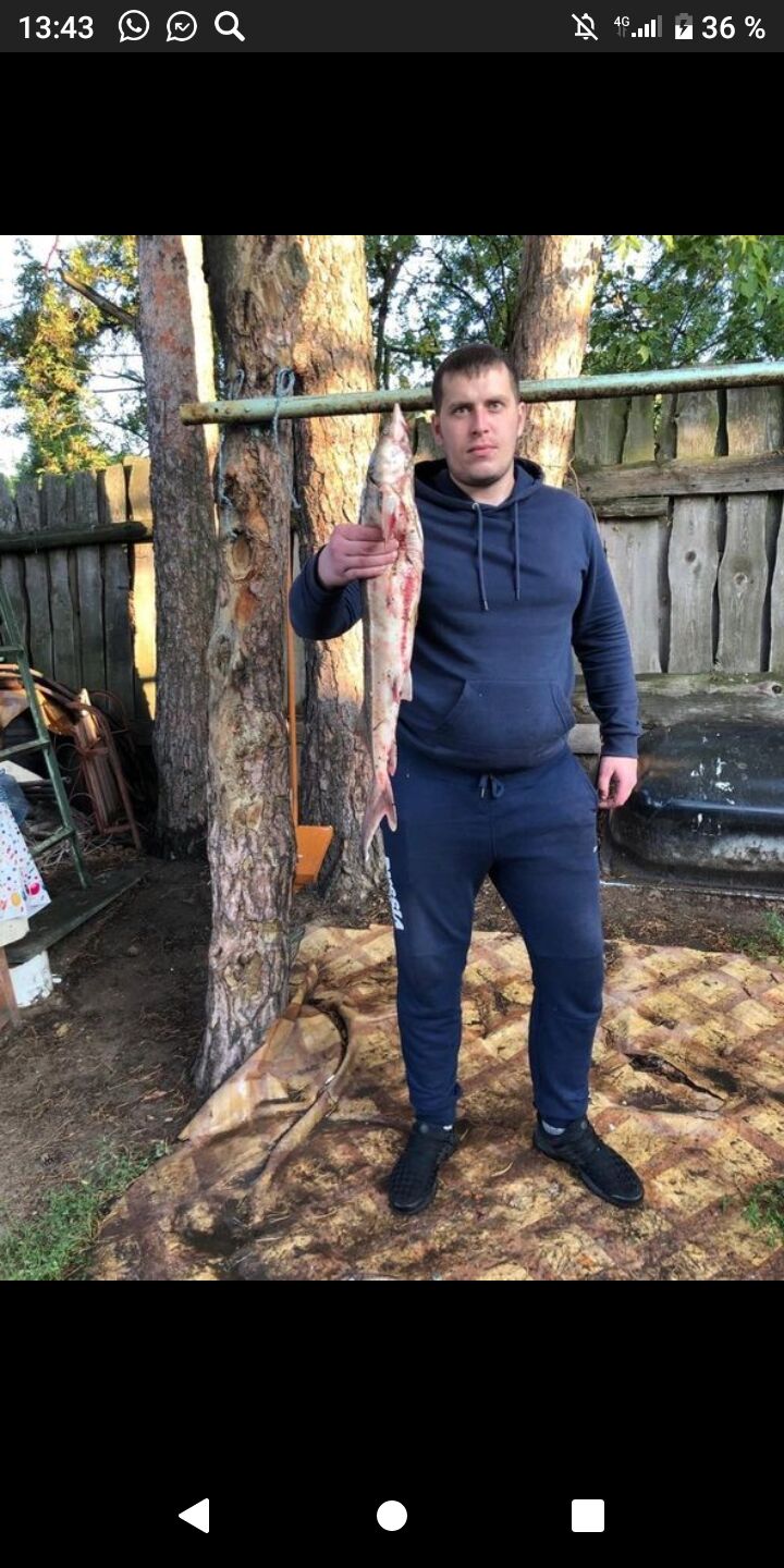 ���������� ������, ���� ������� �������, 39 ���, ������������ ��� ������, ����� � ���������, c�������� ���������