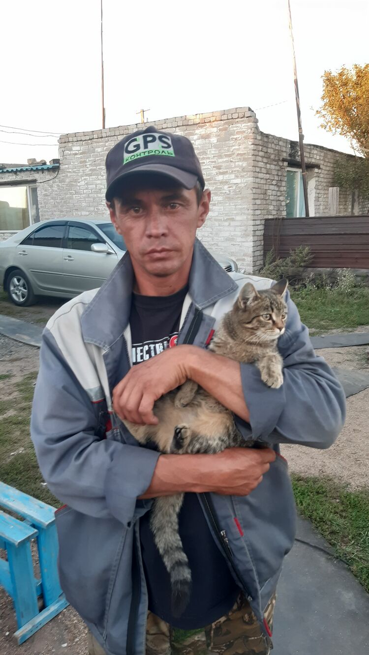  ,   , 43 ,   ,   