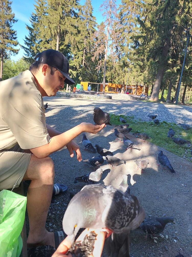 ���������� ������, ���� ������� �����, 37 ���, ������������ ��� ������, ����� � ���������