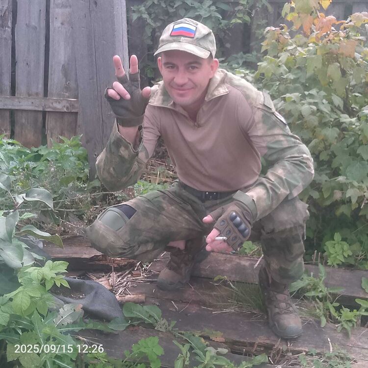 ���� 55338695 ������� ���, 40 ���, ���� ���������� � �����������