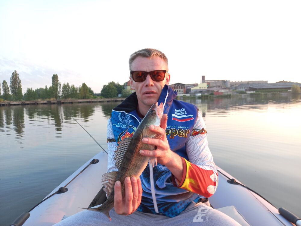  35138105  Roman, 38 ,    