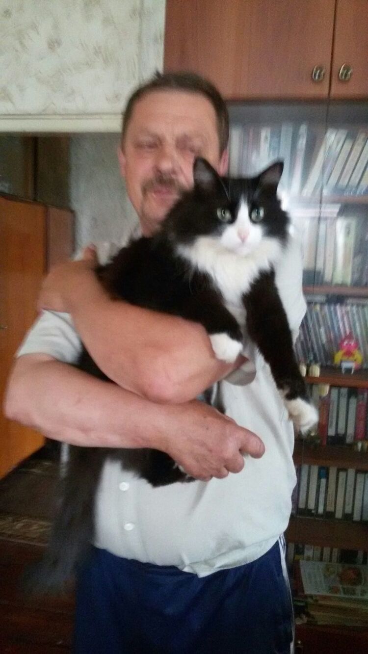 ,   , 66 ,   ,   