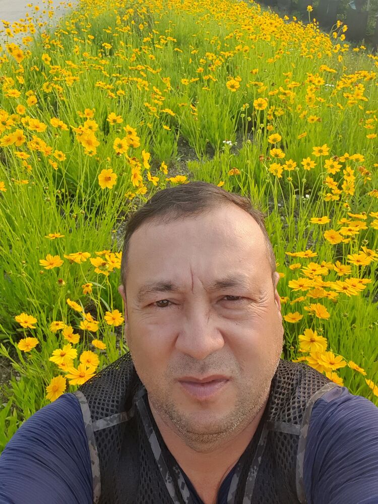  ,   , 53 ,   ,   