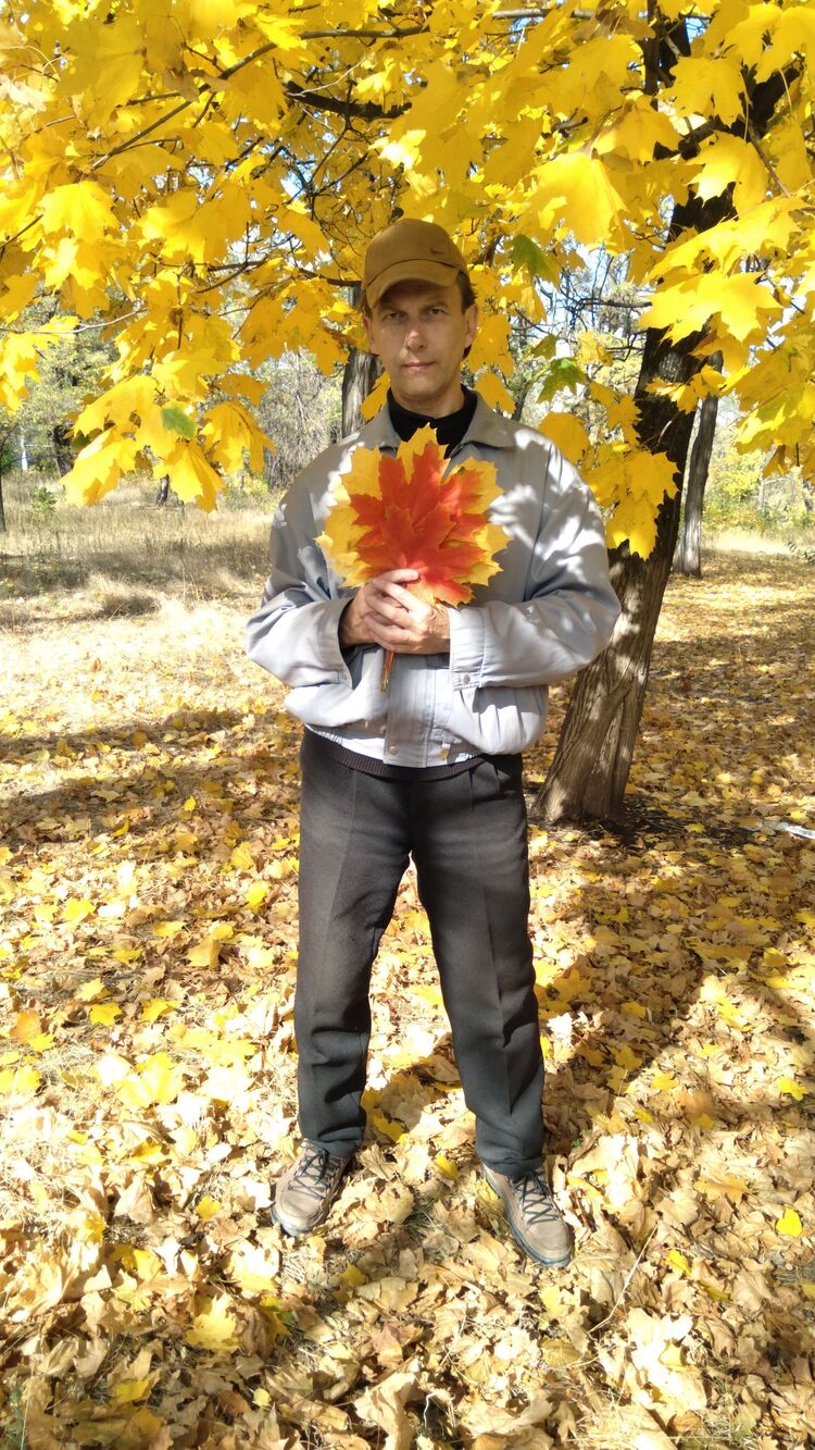  54083435  ALEX, 48 ,    