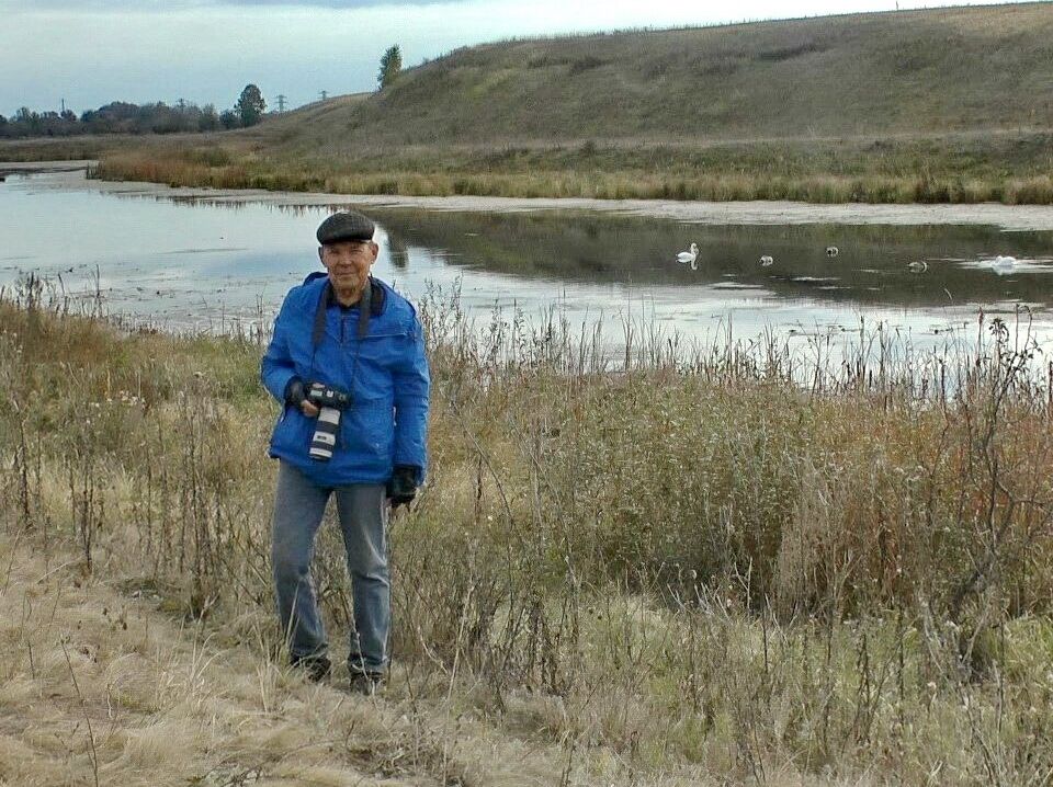 ���������� �����������, ���� ������� ��������, 75 ���, ������������ 