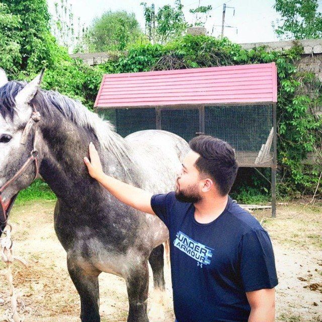 ���������� �����-���������, ���� ������� ����, 28 ���, ������������ ��� ����� � ���������, c�������� ���������, ���������