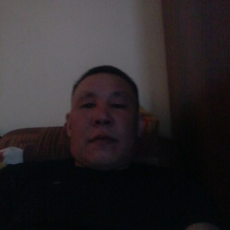  33666355  , 46 ,    