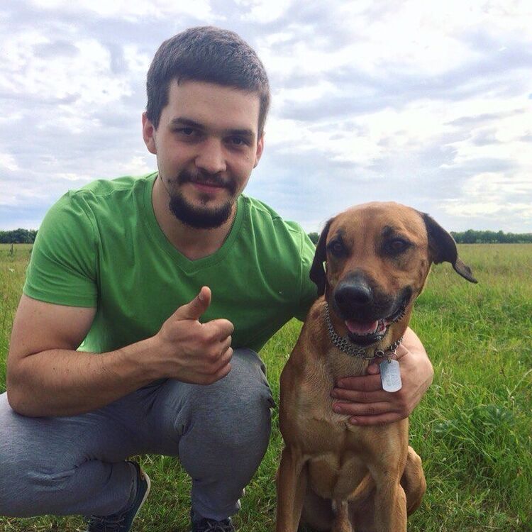 ���� 17038385 ������� ����, 33 ����, ���� ���������� � ������