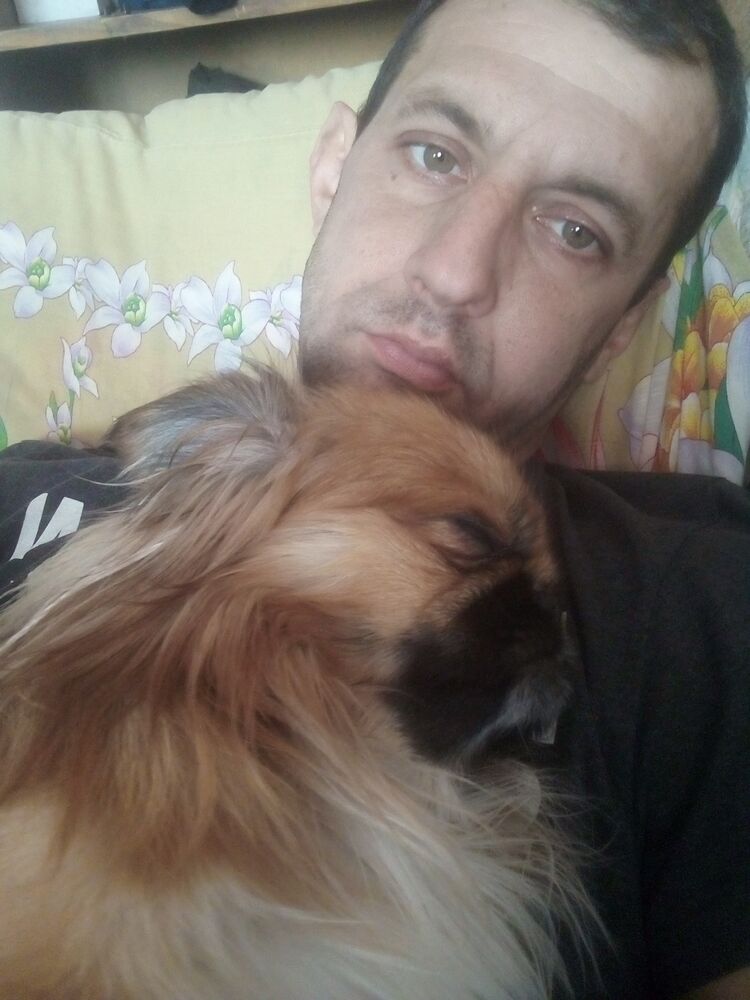 --,   , 37 ,   ,   