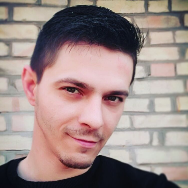 ���� 20504505 ������� Logan, 33 ����, ���� ���������� � �����