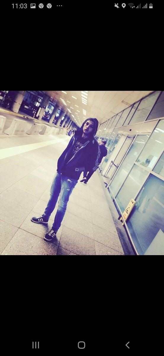 ���������� �����, ���� ������� ������, 36 ���, ������������ 