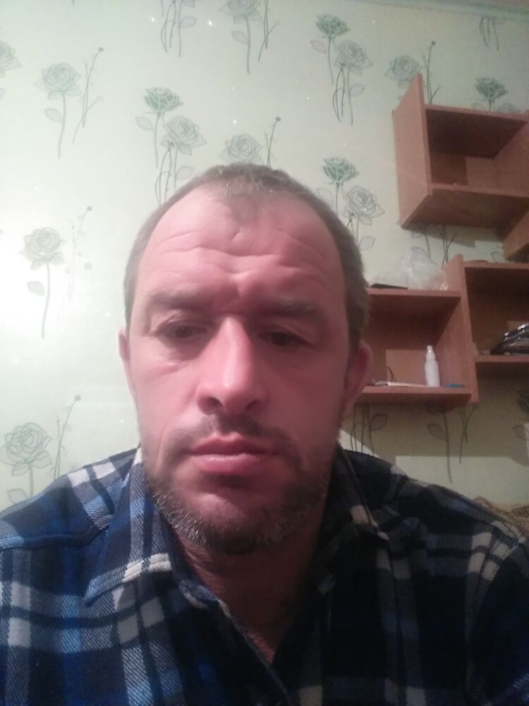  26242135  , 46 ,    