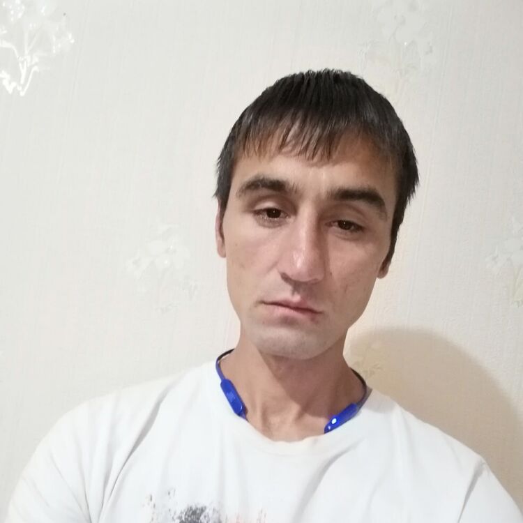  25270155  , 33 ,    