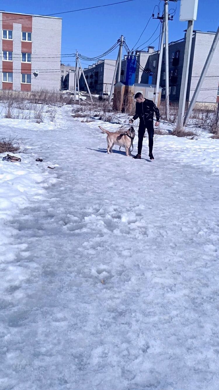 ���� 26415625 ������� ����, 27 ���, ���� ���������� � �������������