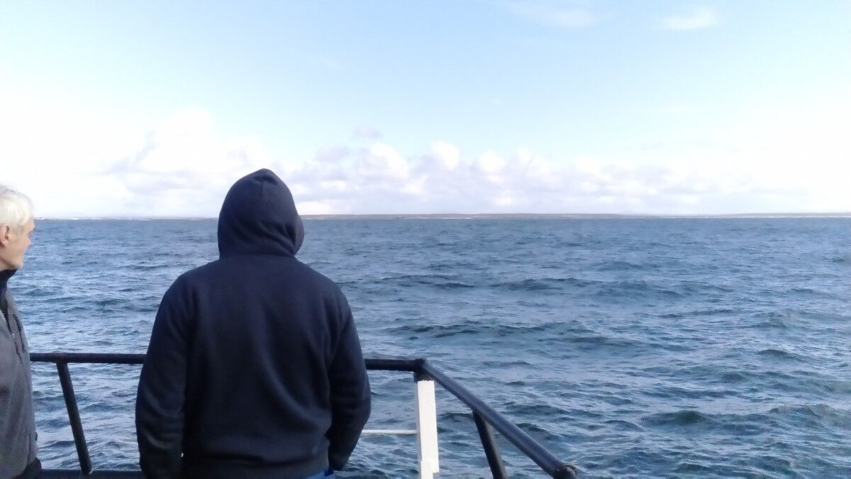  8287225  , 41 ,    -