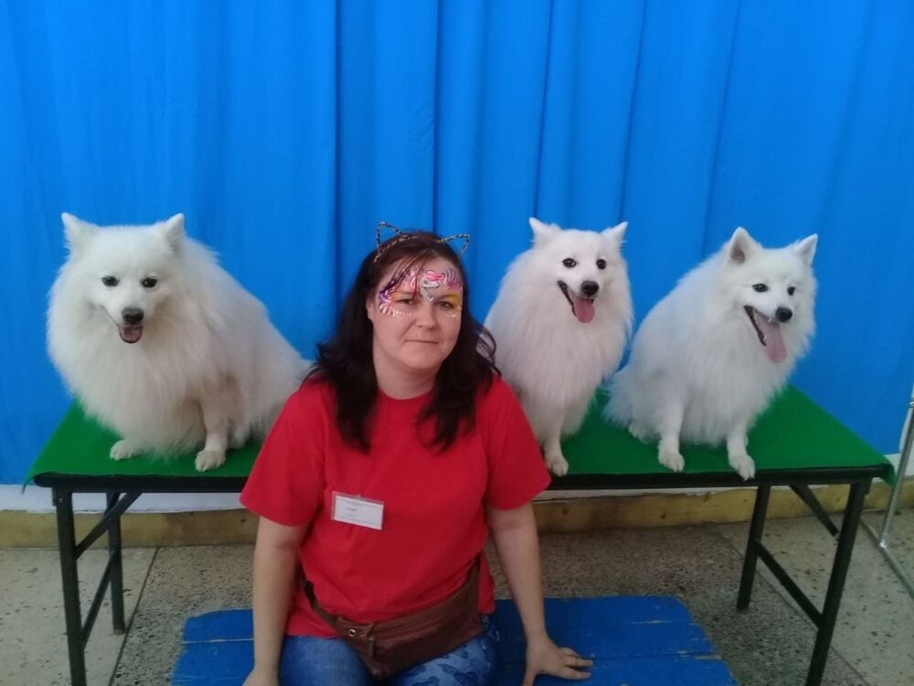 ���������� �������, ���� ������� �������, 36 ���, ������������ ��� ������, ����� � ���������, c�������� ���������