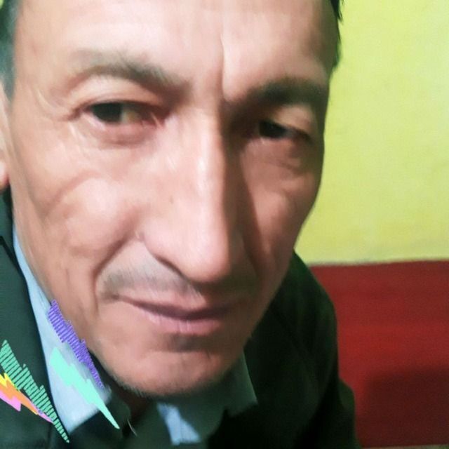  24687105   , 62 ,    