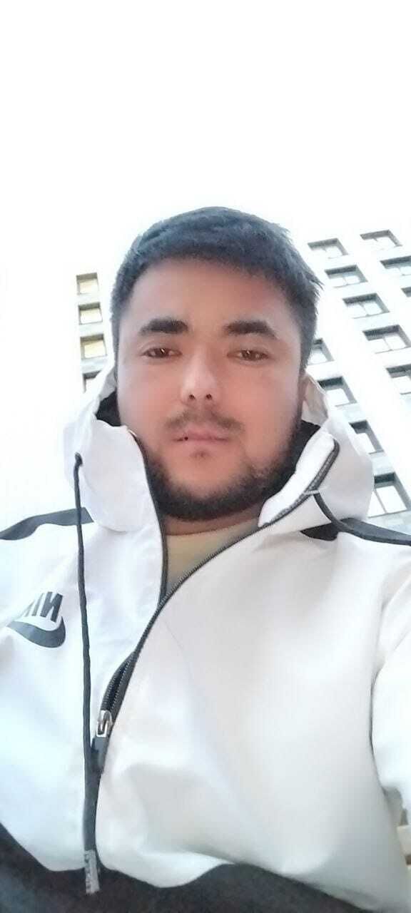  51795295  , 29 ,    -