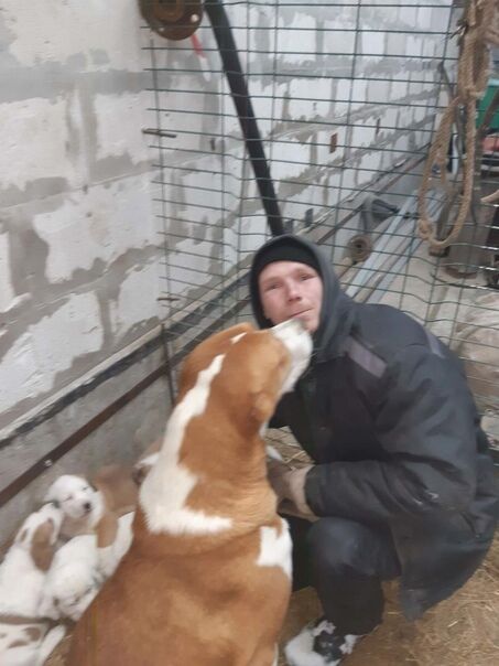 ���������� �����-���������, ���� ������� ������, 36 ���, ������������ ��� ������, ����� � ���������, c�������� ���������