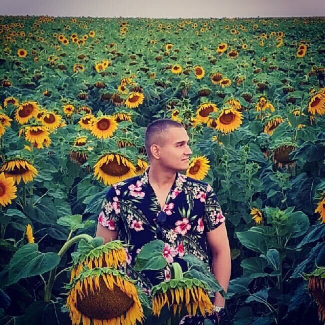 ���� 38083885 ����� �������, 24 ����, ���� ���������� � ������