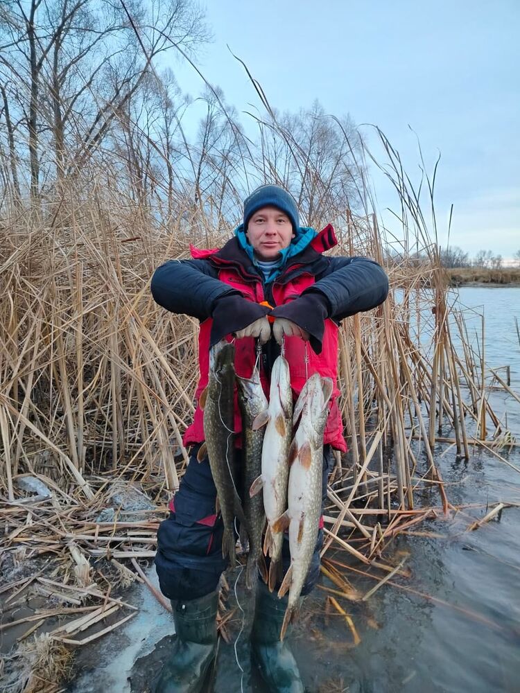 ���� 55344785 ������� �����, 38 ���, ���� ���������� � �����������