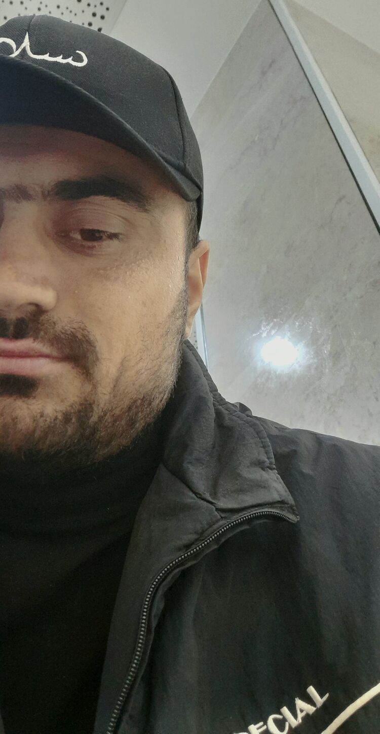  49077505  , 31 ,    