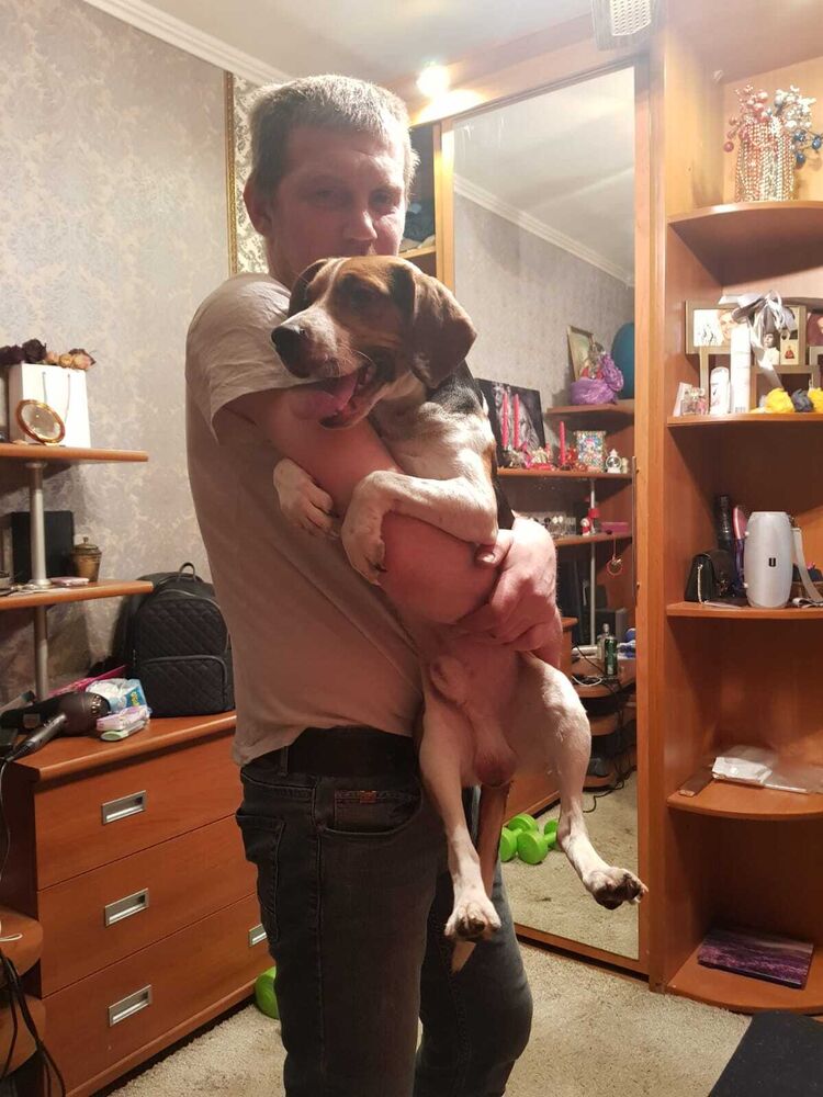 ���������� ������, ���� ������� �����, 43 ����, ������������ ��� ������, ����� � ���������