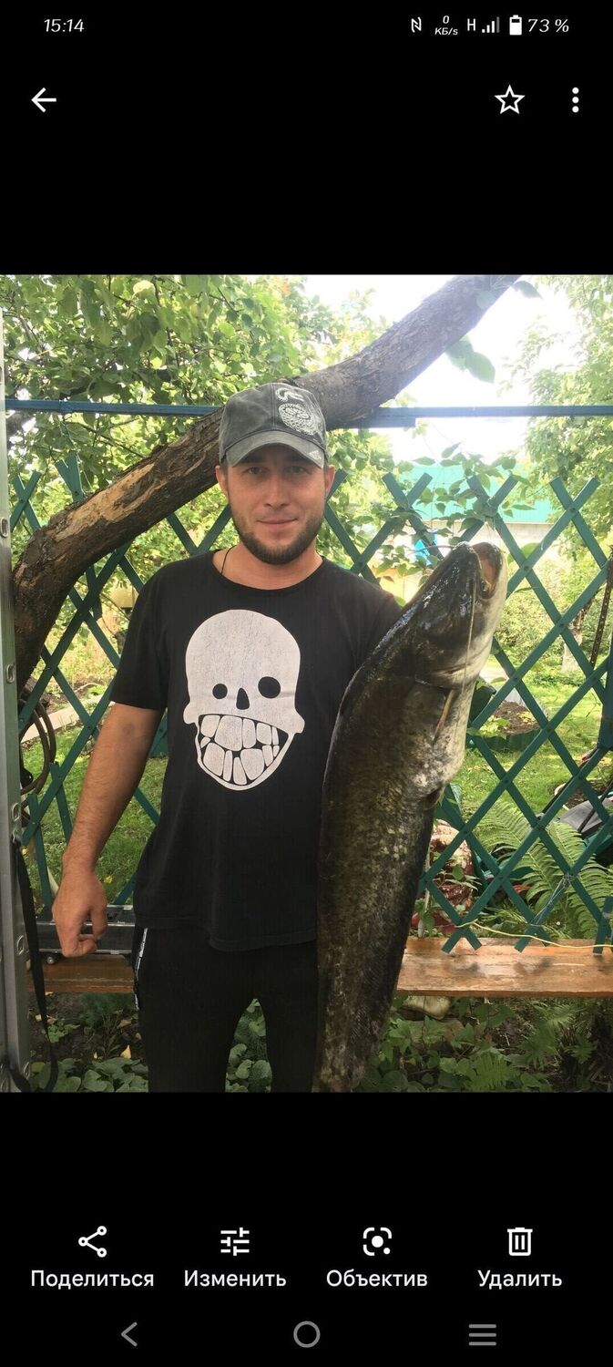 ���������� ������, ���� ������� �����, 44 ����, ������������ ��� ������, ����� � ���������