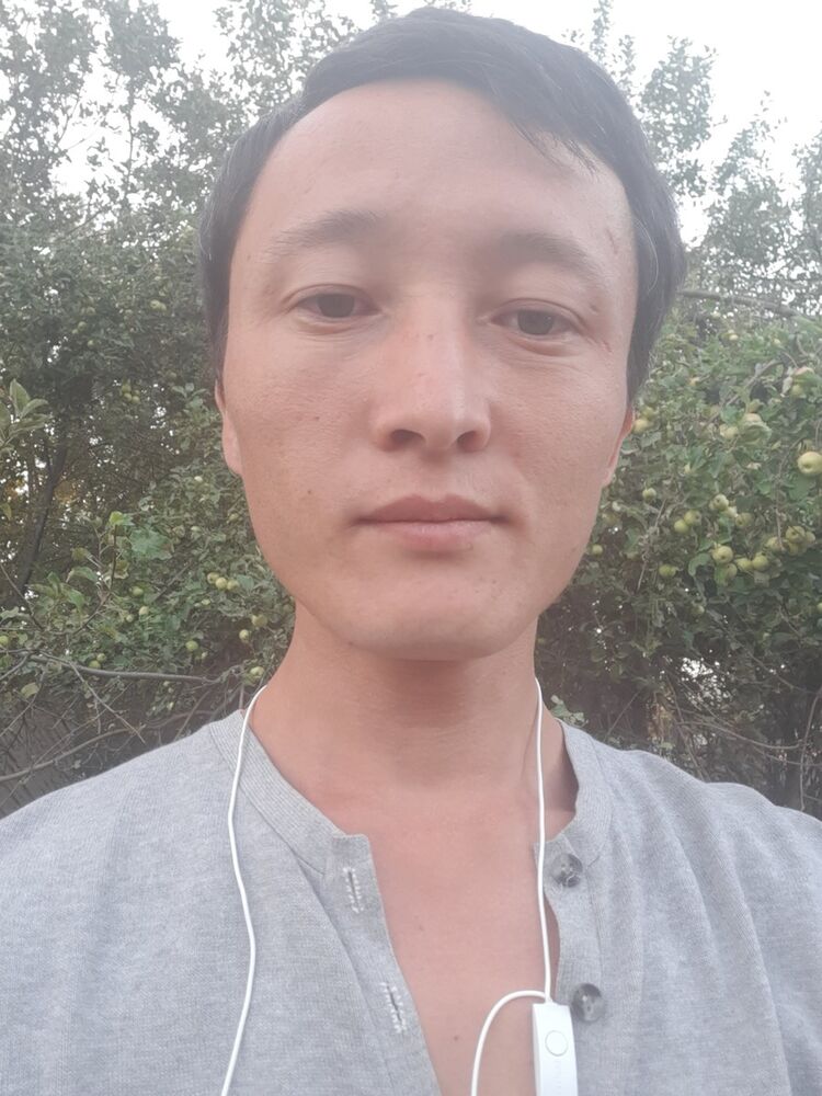 ���� 17335995 ������� �����, 33 ����, ���� ���������� � ������