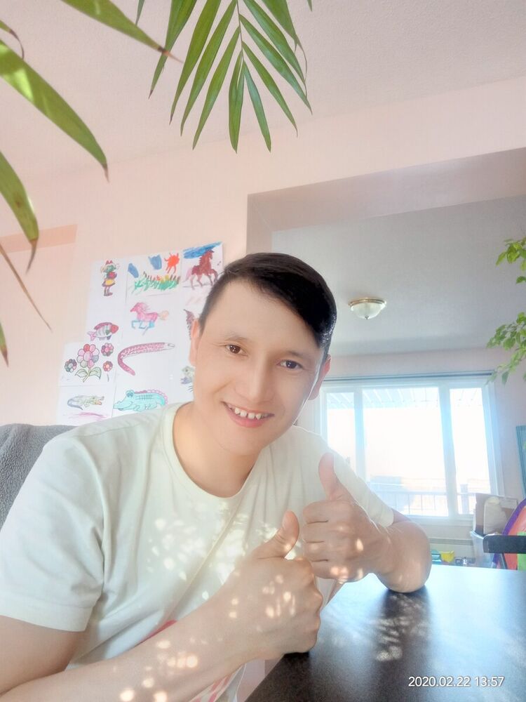  20312155  , 33 ,    