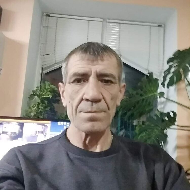  20246175  , 59 ,    