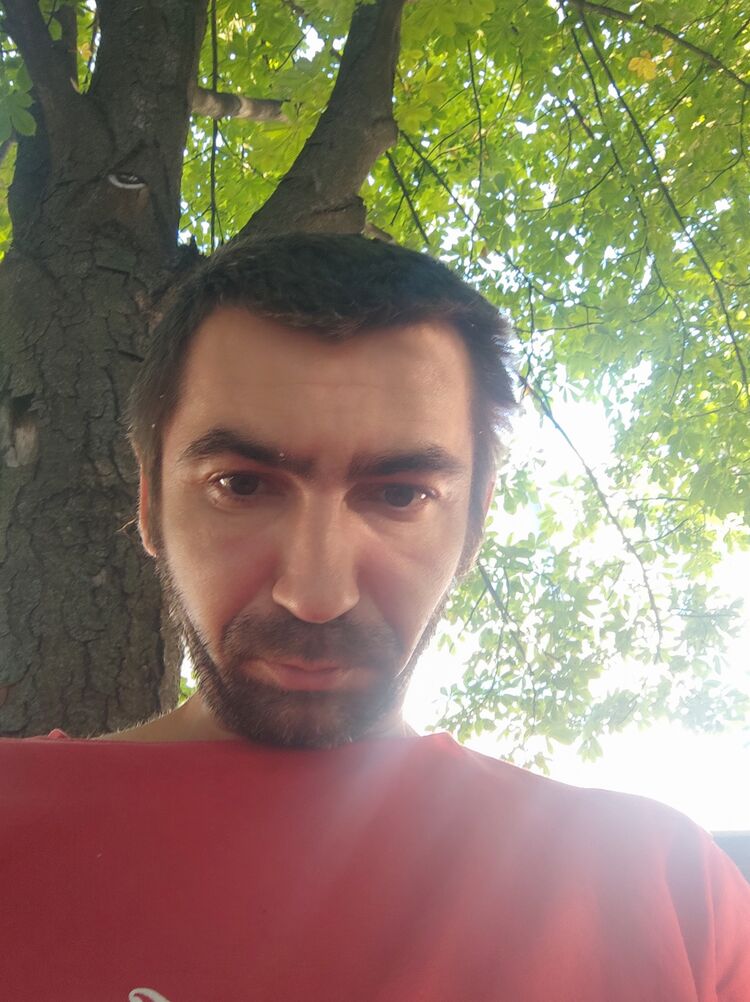  44195335  , 39 ,    