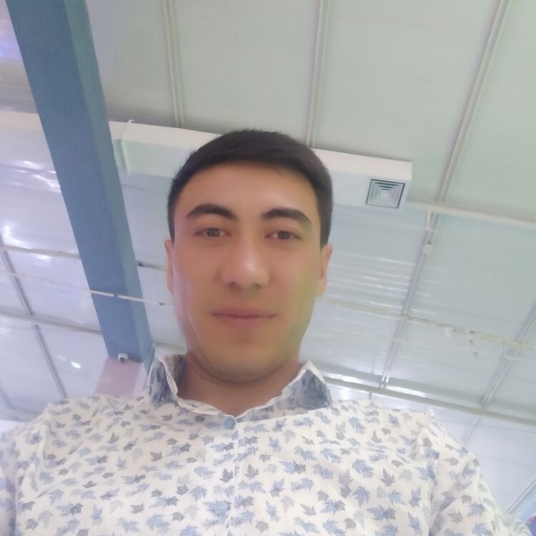  42388645  , 31 ,    