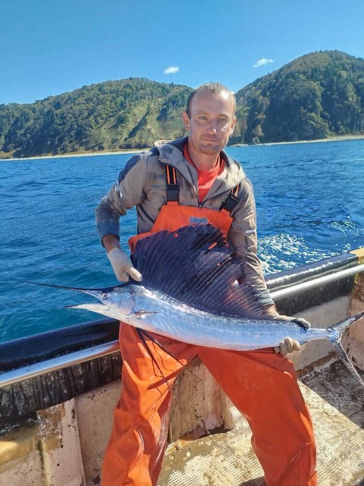 ���������� ����, ���� ������� ������, 34 ����, ������������ ��� ����� � ���������, c�������� ���������