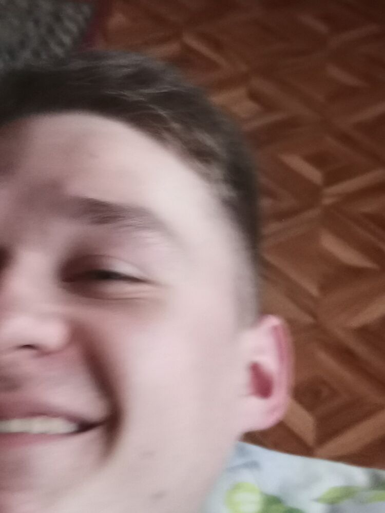  31982825  , 28 ,    