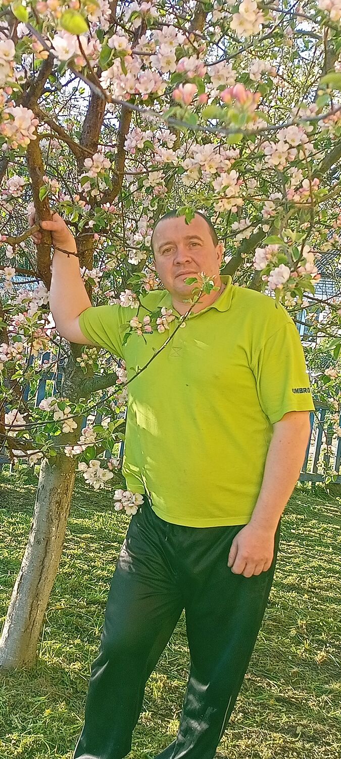  ,   , 43 ,   c , 