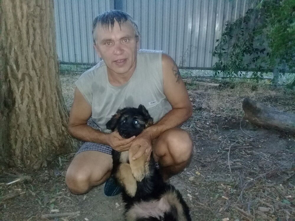 ���������� ������-��-����, ���� ������� ������, 51 ���, ������������ ��� ������, ����� � ���������, c�������� ���������