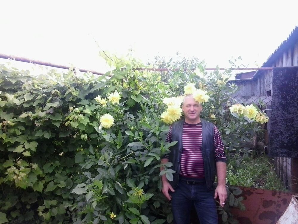  ,   Oieq, 59 ,     , c 