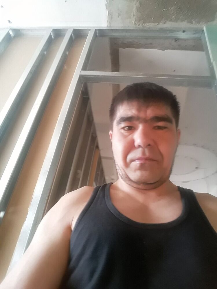  20298685  , 41 ,    