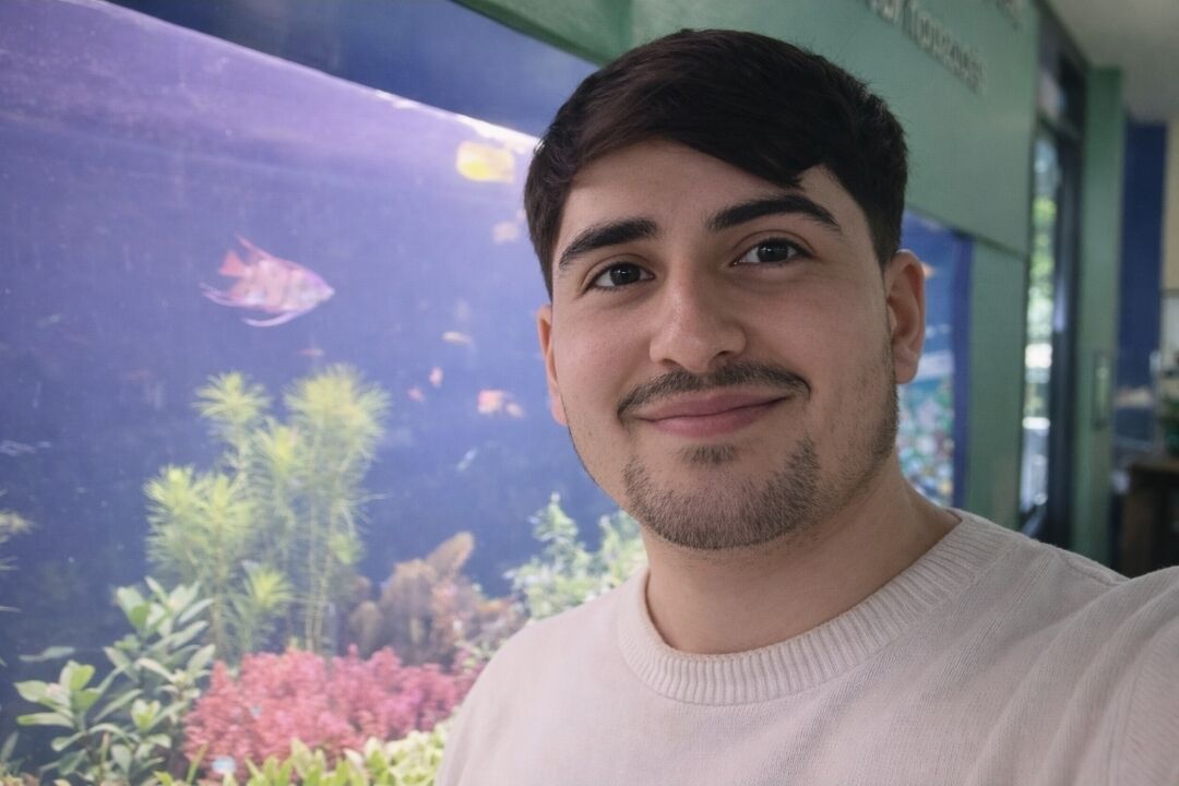 ���� 55670085 ������� ����, 27 ���, ���� ���������� � ������