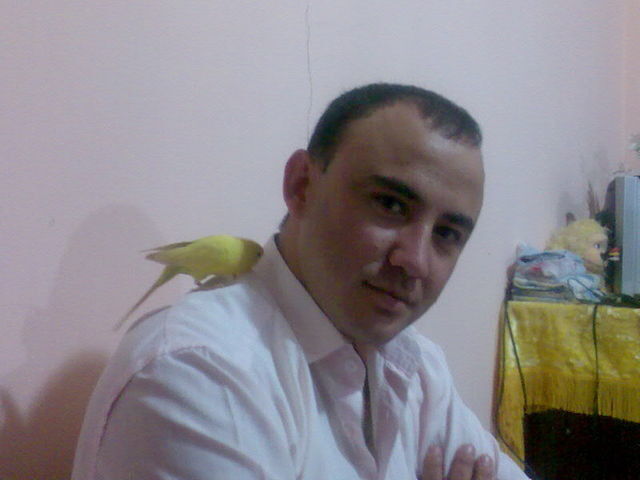 ���������� �������, ���� ������� �����, 40 ���, ������������ ��� ������, ����� � ���������, c�������� ���������, ���������