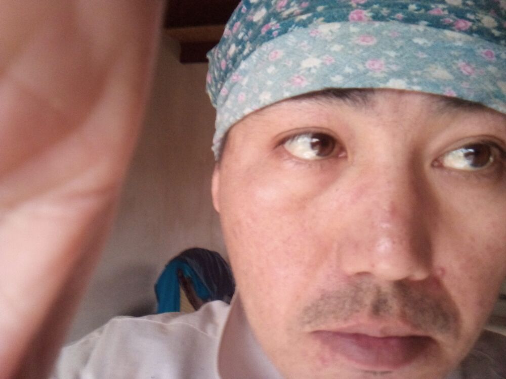 ���� 56484695 ������� ����, 29 ���, ���� ���������� � ���������