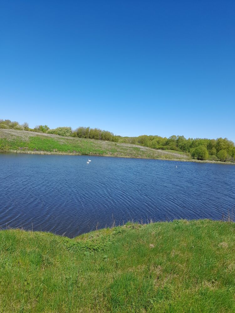 ���� 39413545 ������� Sergey, 36 ���, ���� ���������� � �������