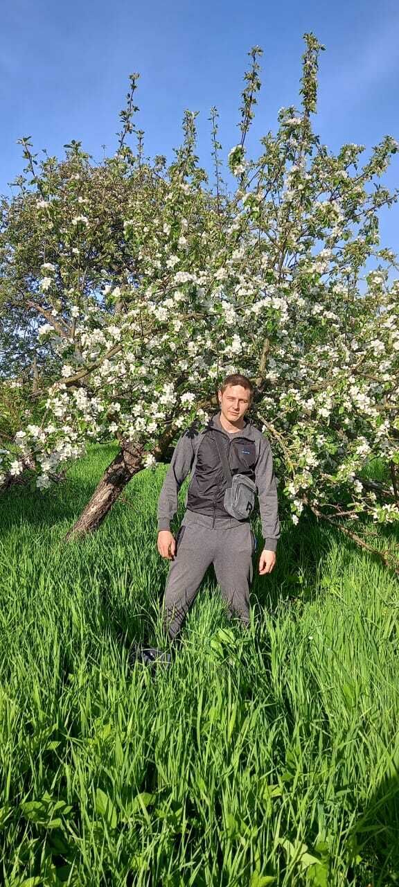 ���� 27480245 ������� ������, 34 ����, ���� ���������� � �����-����������