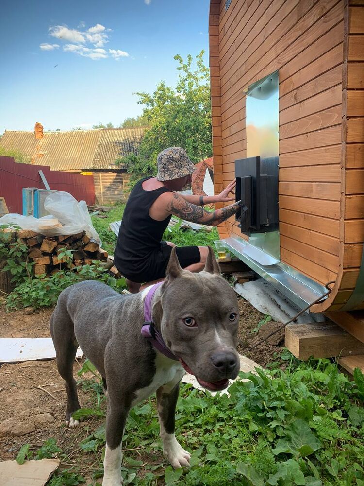 ���������� ������, ���� ������� ����, 29 ���, ������������ ��� ������, ����� � ���������, c�������� ���������